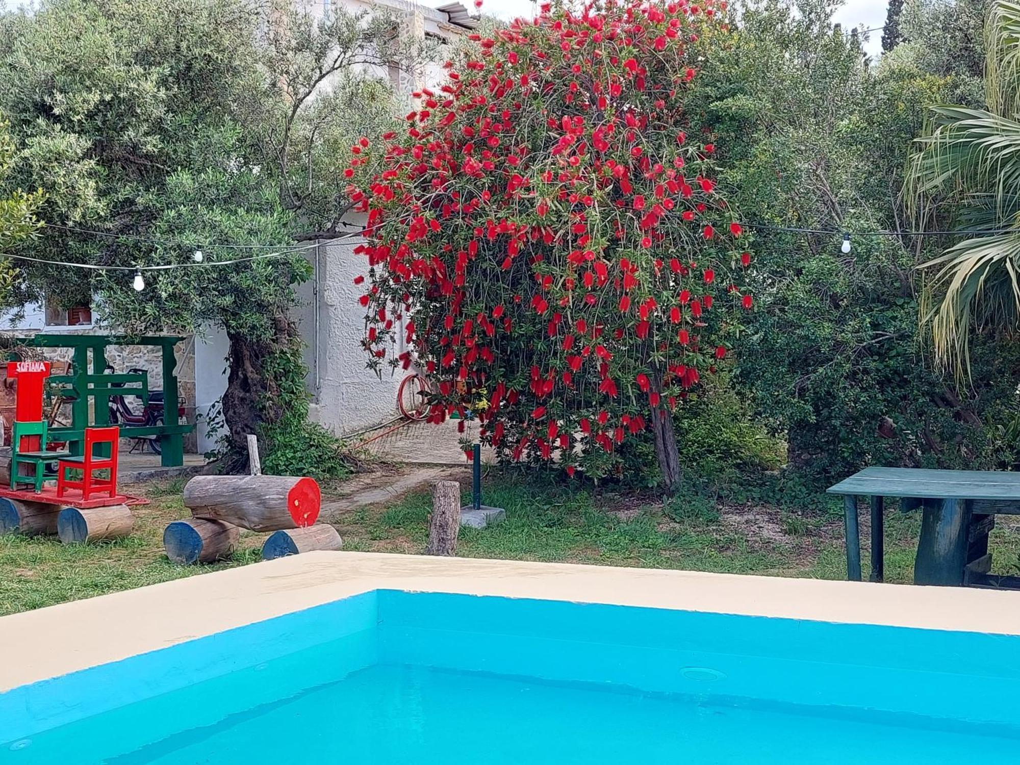 DhrapaniásSofiana'S Garden Retreat With Private Pool公寓 客房 照片