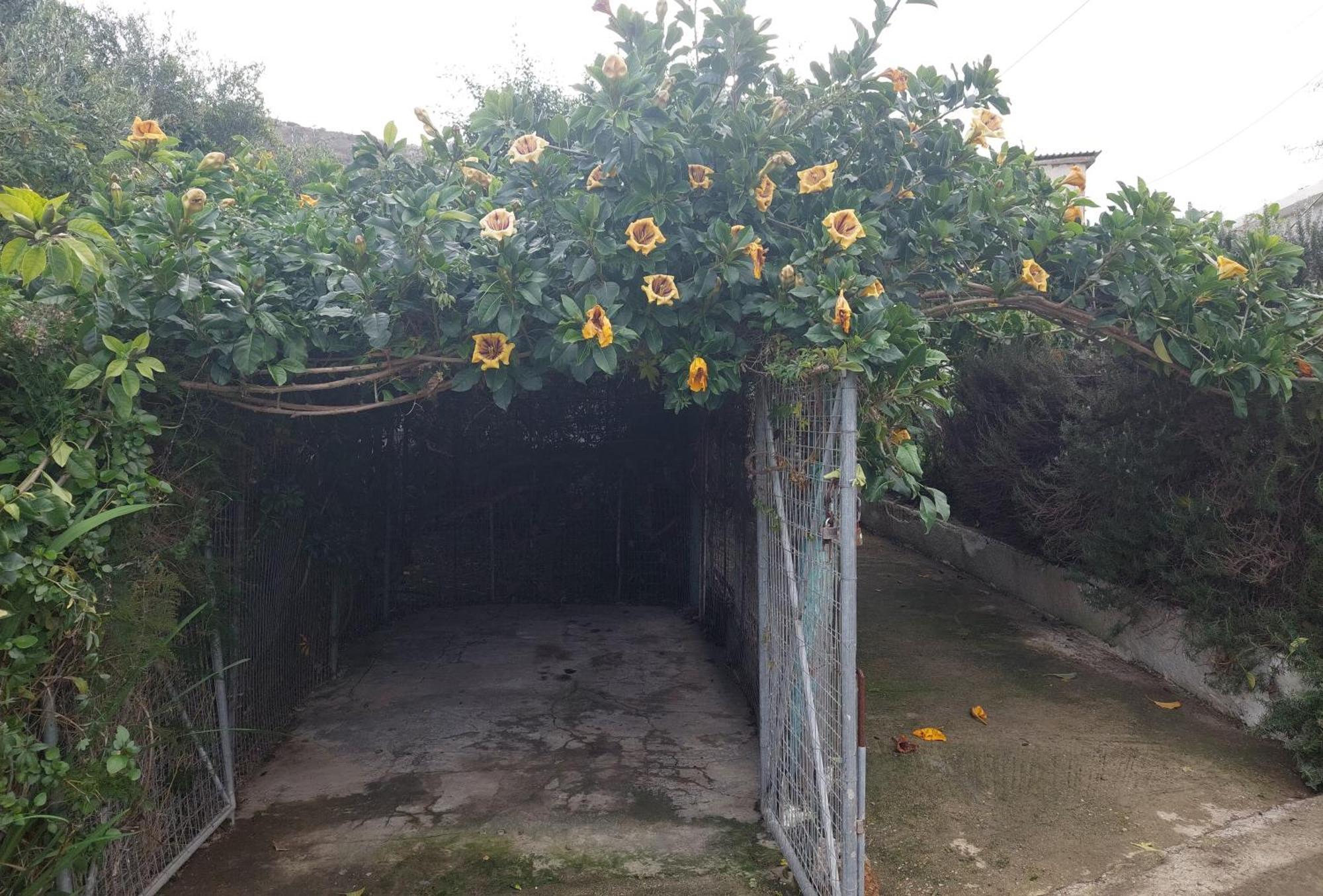 DhrapaniásSofiana'S Garden Retreat With Private Pool公寓 外观 照片